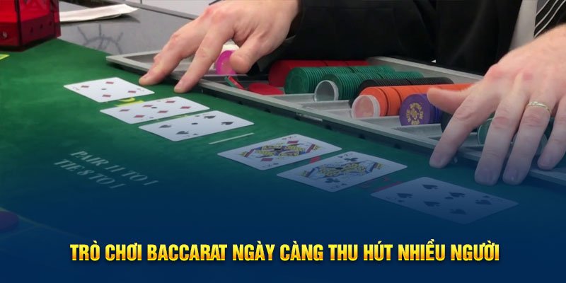 Casino Tại 8XBET – Sảnh Giải Trí Đỉnh Cao Với Dealer Thật